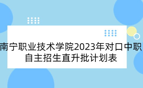 南宁职业技术学院2023年对口中职自主招生直升批计划