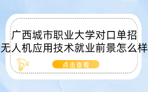 广西城市职业大学对口单招无人机应用技术就业前景