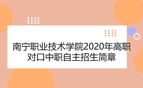 南宁职业技术学院2020年高职对口中职自主招生简章