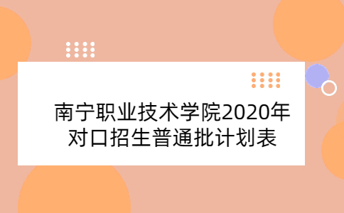 南宁职业技术学院2020年对口招生普通批计划