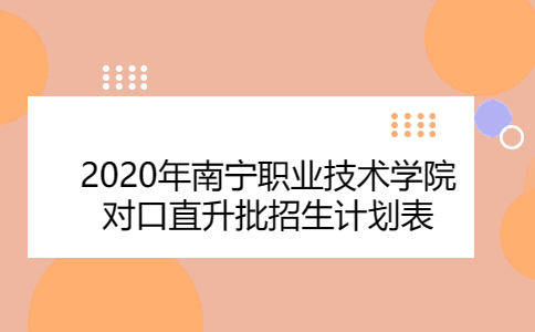 2020年南宁职业技术学院对口直升批招生计划