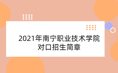 2021年南宁职业技术学院对口招生简章