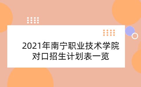 2021年南宁职业技术学院对口招生计划