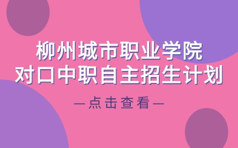 柳州城市职业学院对口中职自主招生计划